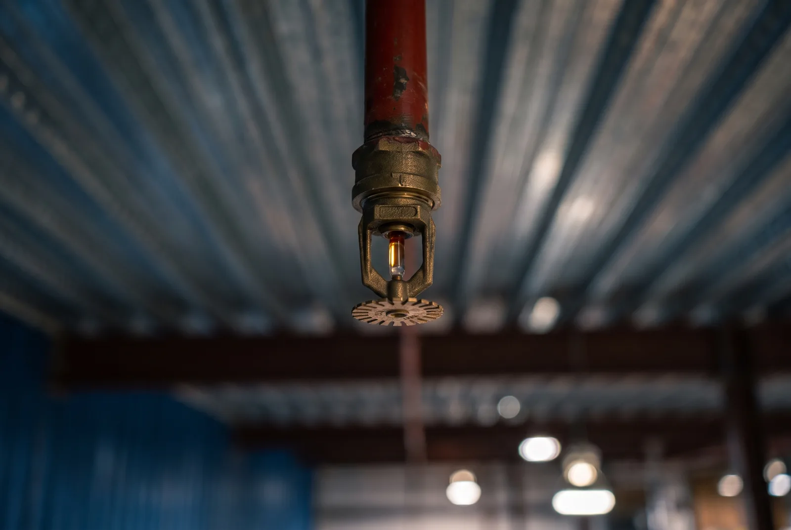 Close-up of a brass pendant fire sprinkler head on a red pipe drop against the corrugated underside of a mezzanine deck